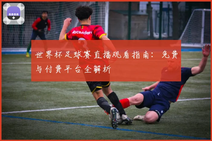 世界杯足球赛直播观看指南：免费与付费平台全解析